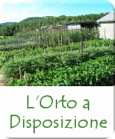 Soggiorno in Piemonte con Orto Biologico Orto Biologico