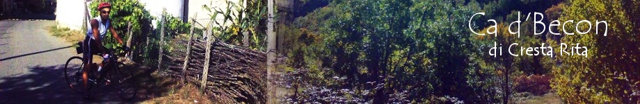 Bici e Trekking