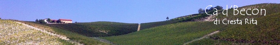 Il territorio