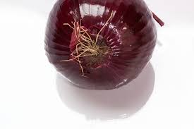 Cognome Cipollone Cipollone come Cognome