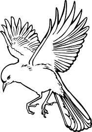 Cognome Uccello Uccello come Cognome