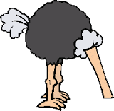 Cognome Grullo Grullo come cognome
