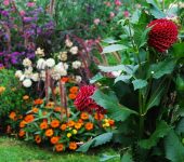 Mostra floricoltura