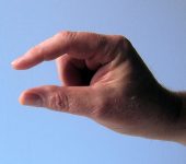 Corto come cognome italiano particolare